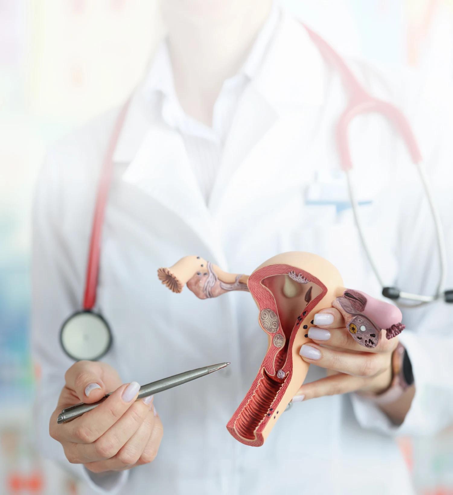 Expert Gynaecologist Consultation in Hyderabad